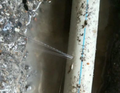 仙桃测漏水哪家好