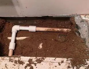 仙桃测漏水哪家好