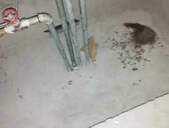 仙桃卫生间测漏水价格明细