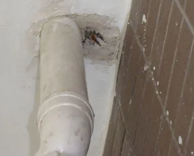 仙桃漏水检测哪家好